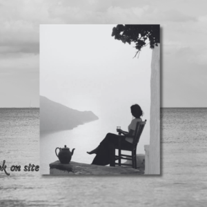 Book on site - 2026-03-06T033055.178